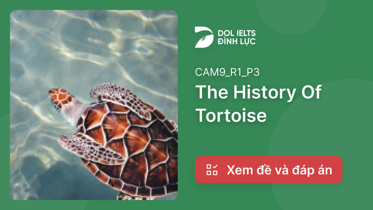 The History Of Tortoise Ielts Reading Answers With Explanation Ielts