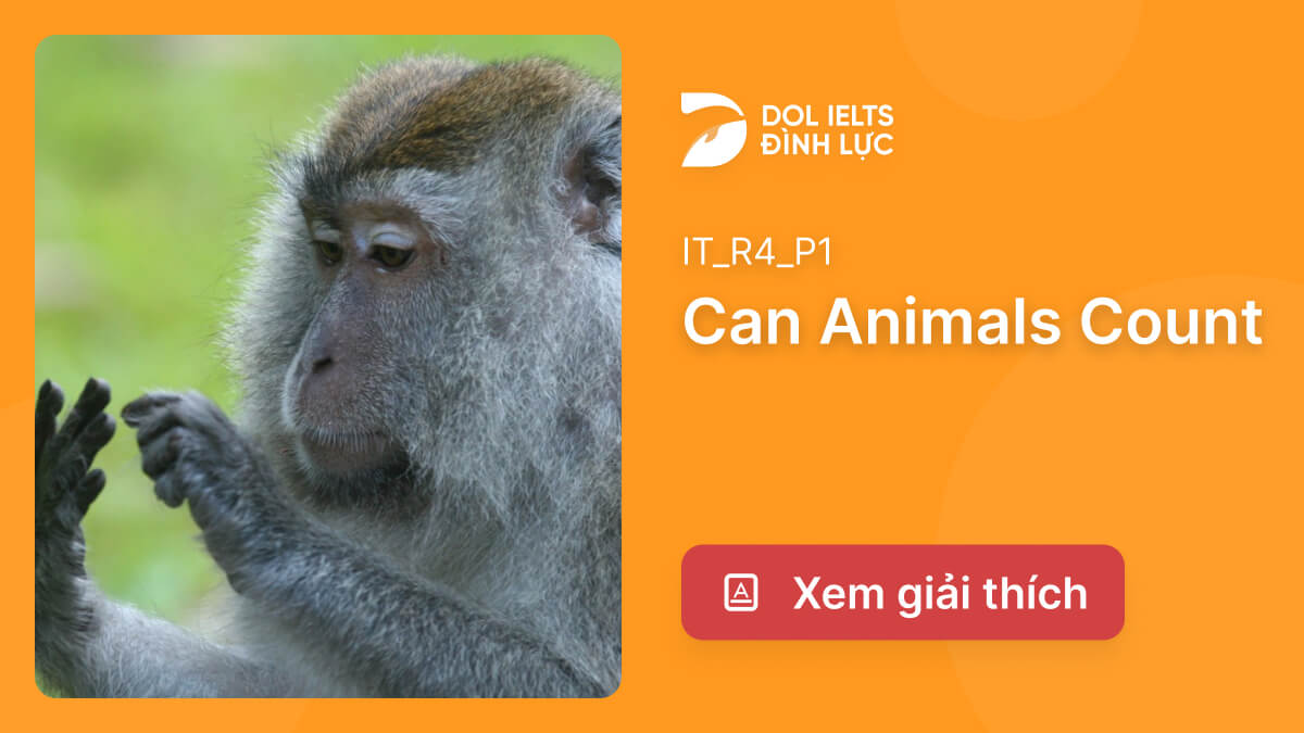 p-n-v-gi-i-th-ch-can-animals-count-ielts-reading-practice-dol