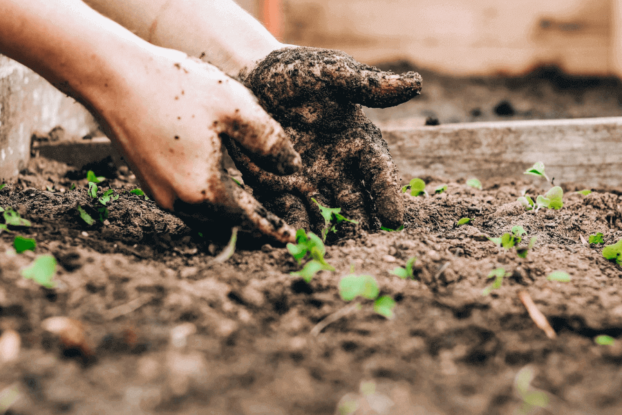 Saving The Soil