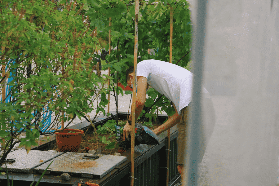 Urban farming