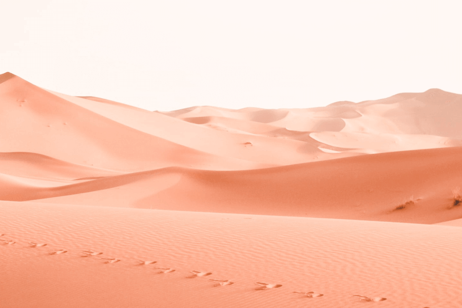 Answers for Sand Dunes - IELTS reading practice test