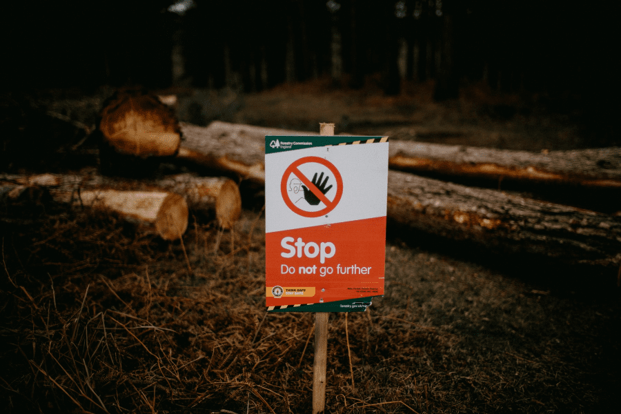 Forest management in Pennsylvania, USA