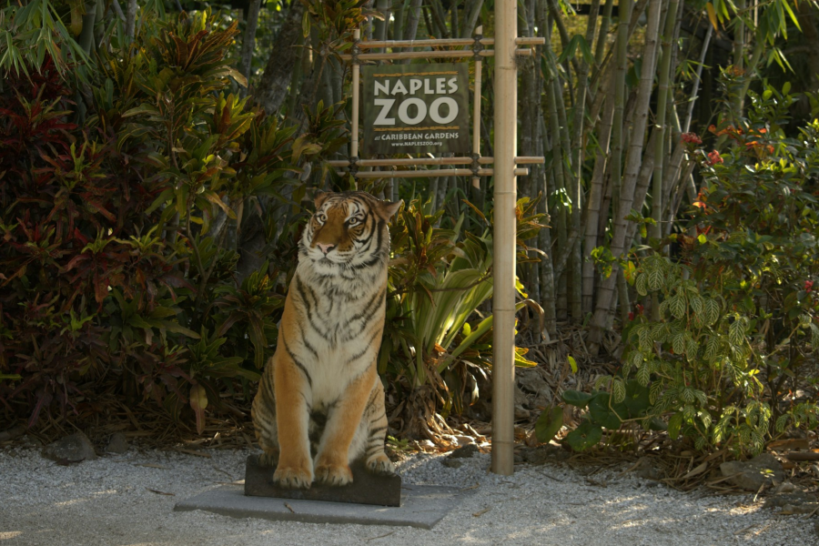 Why zoos are good - IELTS Reading with Practice Test, Answers And Explanation