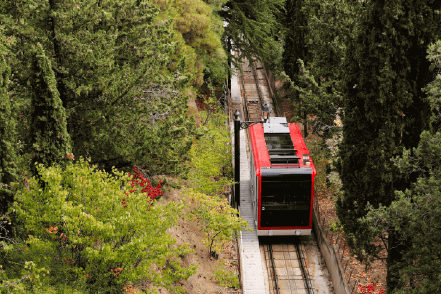 Winridge Forest Railway Park - IELTS Listening with with Practice test, Audio, Transcript, And Explanation