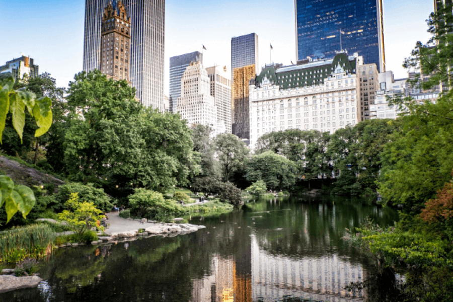 Wildlife in city gardens - IELTS Listening with with Practice test, Audio, Transcript, And Explanation