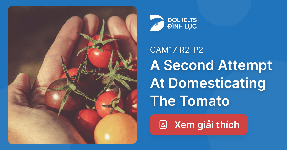 ĐÁP ÁN VÀ GIẢI THÍCH A Second Attempt At Domesticating The Tomato