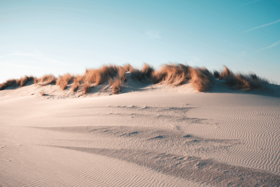 Answers for Sand Dunes - IELTS reading practice test